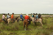 Colombia-Orinoquia-Casanare Horse Riding Safari